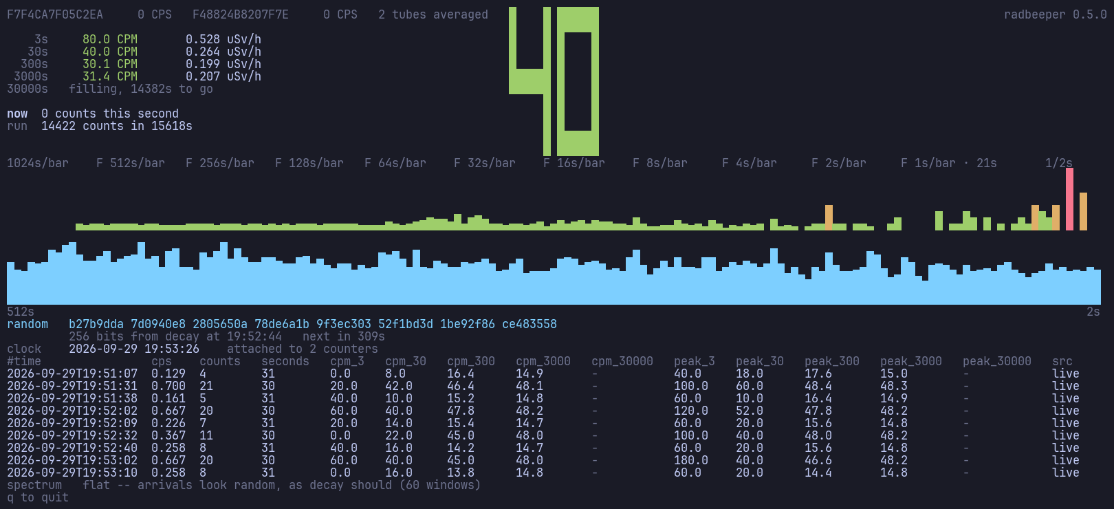 the monitor: five time constants, the counts, the spectrum and a line of decay-derived random